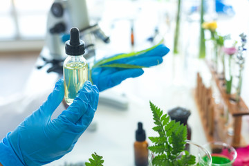 Close up hands Science lab research for  Marijuana Natural alternative herb oil cannabis leaves placed  medicine and drug.  pharmaceutical therapeutic laboratory.  Natural herb Concept