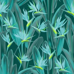 Fotobehang Tropische bloemen Strelitzia reginae tropische bloemen vector naadloze patroon. Boheemse tropische plant stof print ontwerp. Zuid-Afrikaanse plant tropische bloesem van kraanbloem, strelitzia. Textielprint met bloemen.