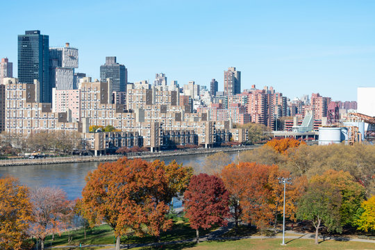 The Upper East Side Skyline with Colorful Autumn Trees along the East River in Long Island City New York