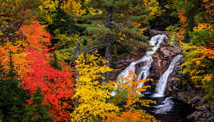 Colourful autumn leaves fram Mary Ann Falls in Cape Breton, Nova Scotia, Canada