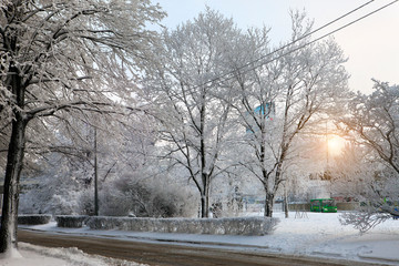 A small car road in a winter city among snowy trees. Saint-Petersburg, Russia..
