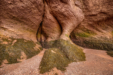 Twisted pillars carved out of red sandstone bluffs by the Bay of Fundy tidal waters with seaweed clinging to the bottom during low tide