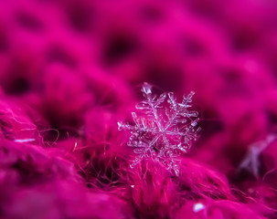 Snowflake beautiful on the red winter background