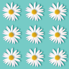 White daisy flowers on a turquoise background. Chamomile ornament. Beautiful seamless floral pattern for  wallpaper, wrapping paper, and fabric design