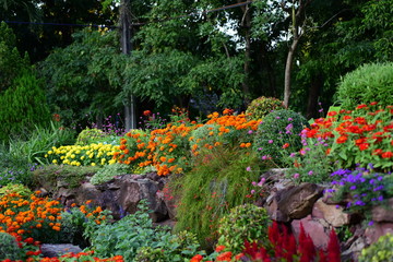 Fototapeta na wymiar Gardens with flowers and ornamental plants.