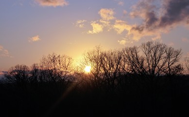 Sunset Over the Blue Ridge Mountain in Autumn with Leafless Trees
