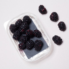 bunch of black berries on grey vibrant background
