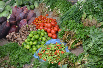 Fototapeta na wymiar Laos morning market stall that selling local harvested vegetables.