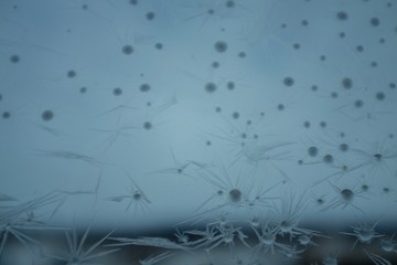 rain drops on window