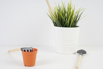 Gardening tools and plant over white background