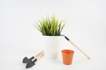 Gardening tools and plant over white background