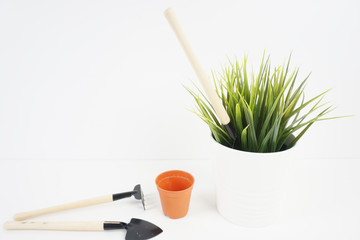 Fototapeta na wymiar Gardening tools and plant over white background