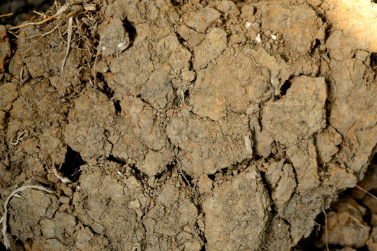 cracked earth texture