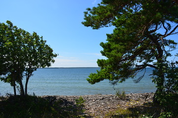 Fototapeta na wymiar Ostsee auf Hiiumaa