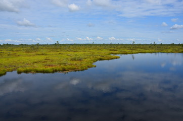 Moor im Soomaa Nationalpark