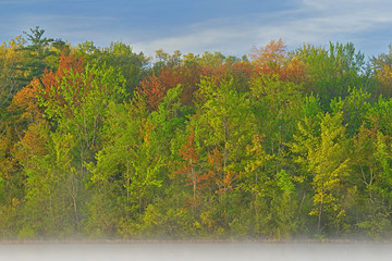 Obraz premium Spring Shoreline Long Lake in Fog