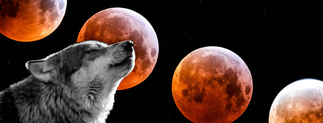 Panele Szklane Podświetlane  Wilk z krwawym księżycem w tle