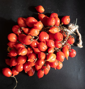 Tomatoes of Vesuvius