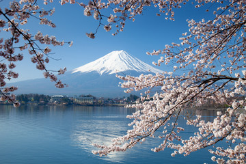 Beautiful cherry blossoms with Mount Fuji, japan - obrazy, fototapety, plakaty