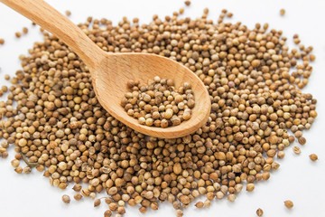 Seeds of coriander on a white background in a wooden spoon. Cilantro isolated. Coriandrum sativum. Common seeds.
