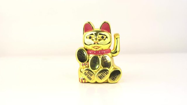 chat porte bonheur japon