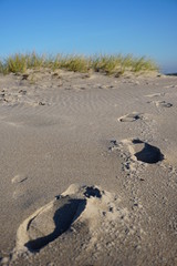 Schritte in den Dünen am Meer