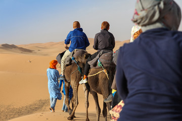 group of tourists riding camels in desert