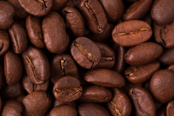 roasted coffee beans, can be used as background