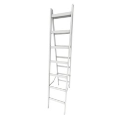 Step ladder. 3d render isolated on white