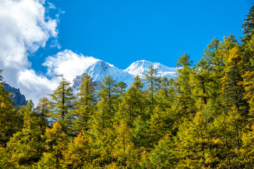 autumn in the mountains