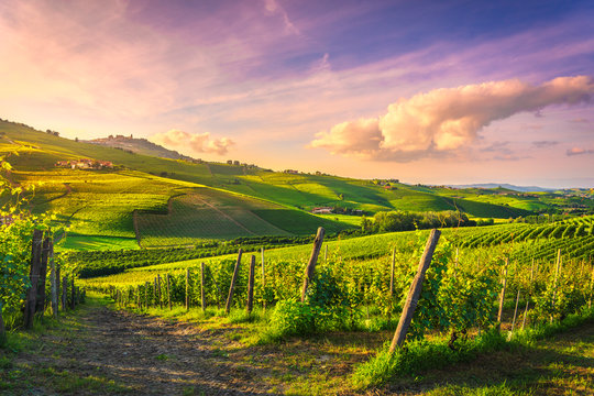 Langhe vineyards view, Barolo and La Morra, Piedmont, Italy Europe.