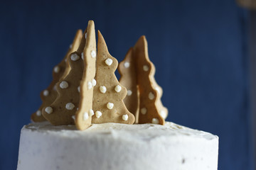 christmas gingerbread cookies