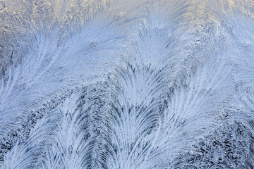 Frost on Window Glass