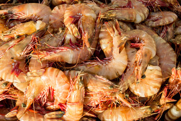 shrimps on ice