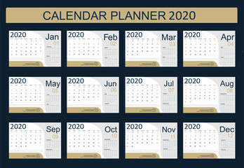 2020 Calendar Planner Design. Monthly scheduler. Week starts on Sunday. Set of 12 months. Vector illustrator.