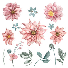 Fototapeta premium Set of watercolor dahlia flowers, leaves and sprigs of eucalyptus for wedding design invitations. Flower shop logos.