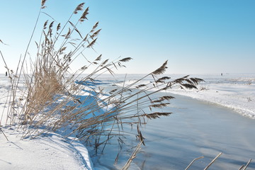 Closeup of almost frozen creek surrounded with reeds, running through snowy coastal meadow at...