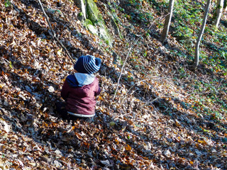 enfant vu de dos assis dans feuilles automne et brandissant un bout de bois