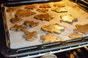 Vlose-up partial view of person putting christmas cookies into oven
