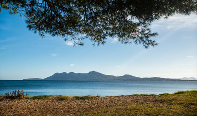 Landscape of the Mediterranean coast with mountains and conifers