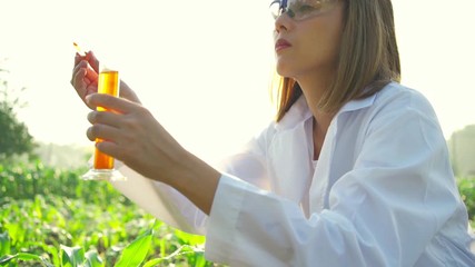 Asian woman farmer In the corn field to check the integrity of the leaves and stems of the corn With scientific analysis