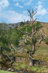 View of the countryside around Malham Cove in the Yorkshire Dales National Park
