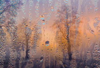 raindrops on window glass and trees