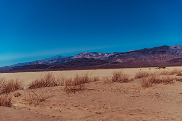 Desert near Panamint Springs in Death Valley National Park