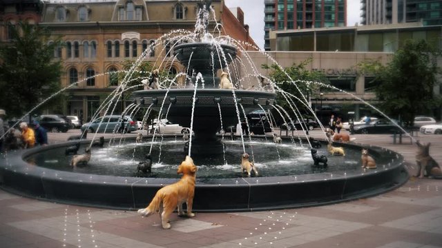 Dog fountain in Toronto