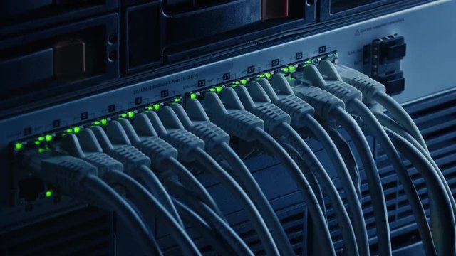Macro Shot: Person Plugs in RJ45 Internet Connector into LAN Router Switch. Information Communication Network with Data Cables Connected to Modem Ports with Flashing Lights