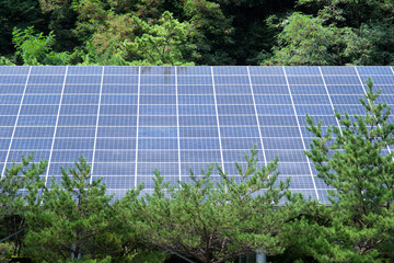 Solar Panels, Solar Power Energy, Renewable Energy.