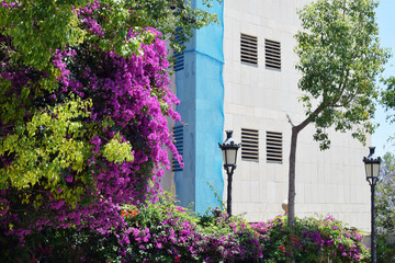 Fototapeta na wymiar Flowers and trees in front of wall. Modern building exterior