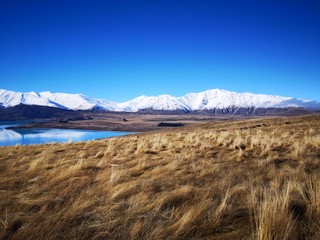 lac tekapo