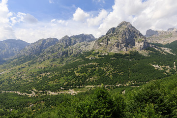Fertile landscape in the dinaric alps with green forests on the way from shkodar to theth in Albania